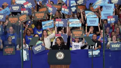 Kamala Harris, a mulher negra que quer ser pioneira na presidência