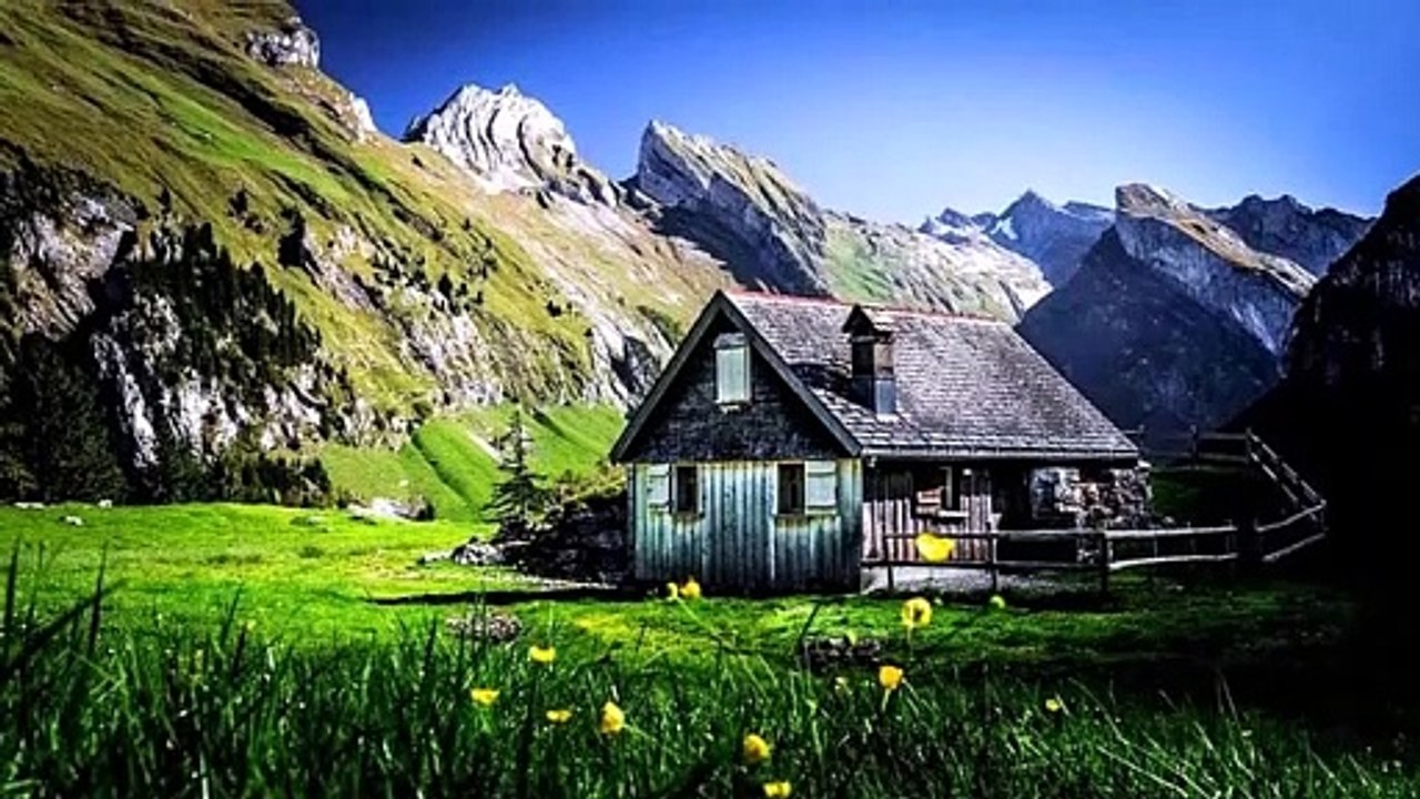 Puiu Nastase-Aseara ti-am luat basma