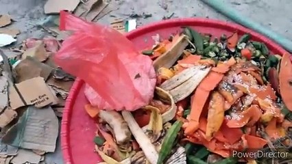 देखिए मैं कैसे करती हूं, कंपोस्टिंग किचन वेस्ट और गार्डन वेस्ट से__how to make compost at home