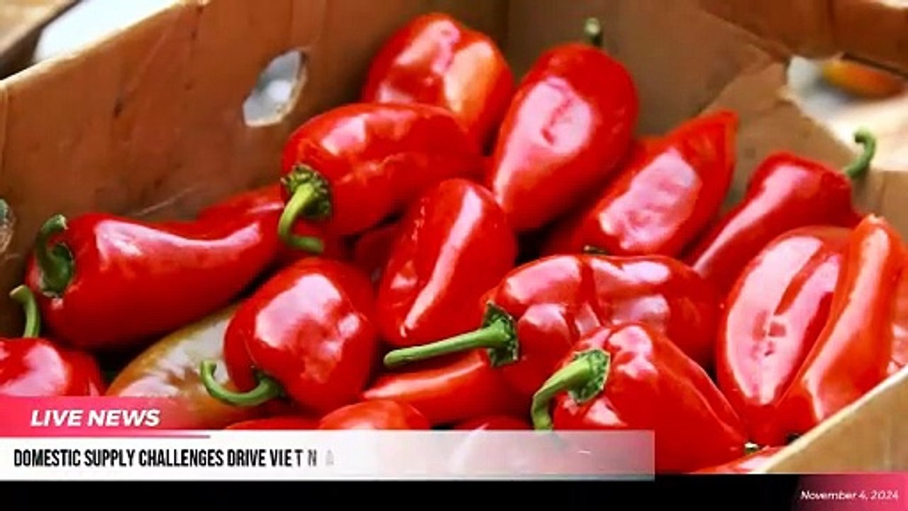 The Supply Chain Report News Roundup - 4th November 2024