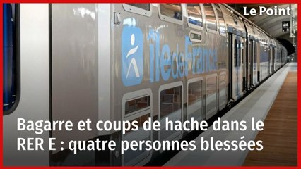 Bagarre et coups de hache dans le RER E : quatre personnes blessées