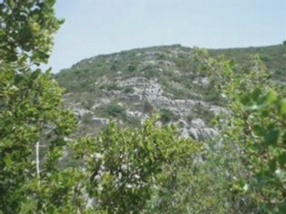 Sanary 2007