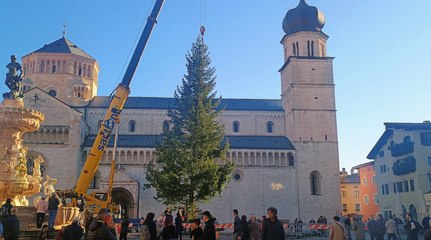 Trento, è già tempo di Natale: l'arrivo in piazza Duomo del grande albero