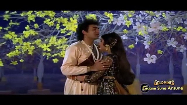 Tum Kya Aaye /1989 Nache Nagin Gali Gali/ Meenakshi Seshadri, Udit Narayan