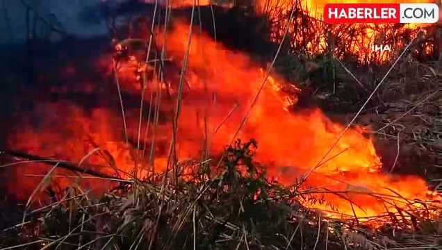 Beyşehir Gölü Milli Parkında Sazlık Yangını