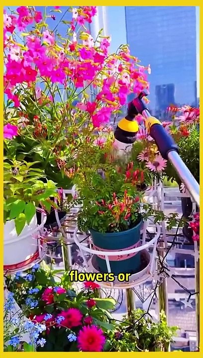 HOME PLANTS TIPS