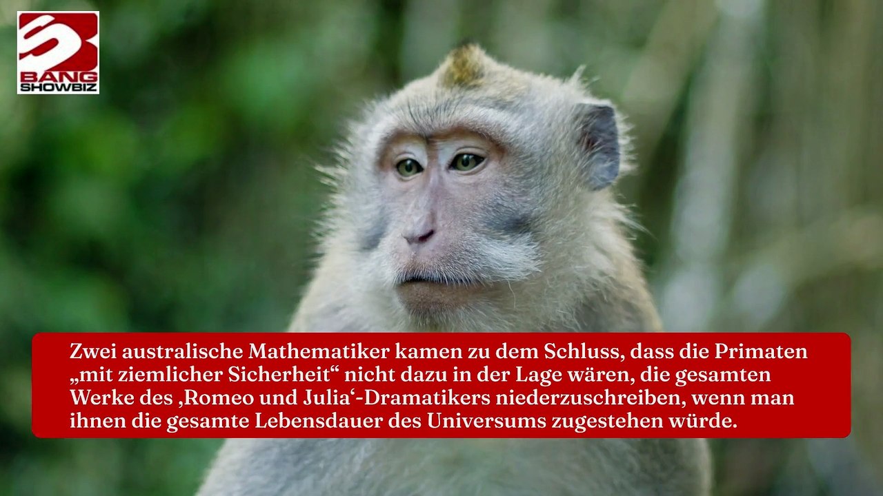 Das Universum wird untergehen, bevor Affen Shakespeares Werke schreiben können.