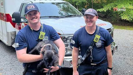 Firefighters called to save dog in trouble; what they find leaves them stunned