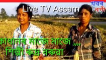 Assamese song pokadhanor dhanor maje maje #livetvassam