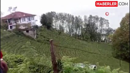 Kontrolden Çıkan Araç Çay Bahçesine Yuvarlandı