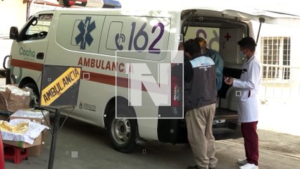 ¡Altamente venenosa! Una mujer fue picada por la araña de jardín en Cochabamba