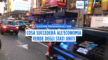 Tasse sulle importazioni e auto "made in Usa": le elezioni americane potrebbero avere un impatto sull'economia verde in Europa