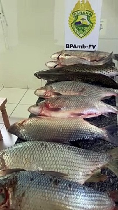 Dois homens são presos por pesca ilegal durante a piracema no rio Ivaí