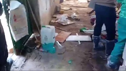 Rescatan en Puertollano a 78 perros que mantenían en dos 'zulos' insalubres