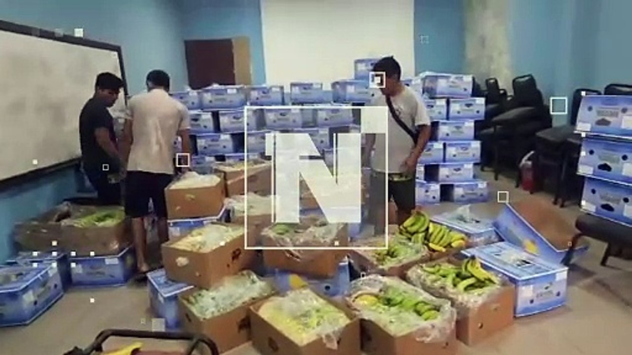 ¡Estamos sufriendo! Sector bananero se declara al borde de la quiebra por los bloqueos