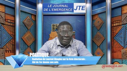 Radiation de Laurent Gbagbo sur la liste électorale - Gbi de Fer donne son avis