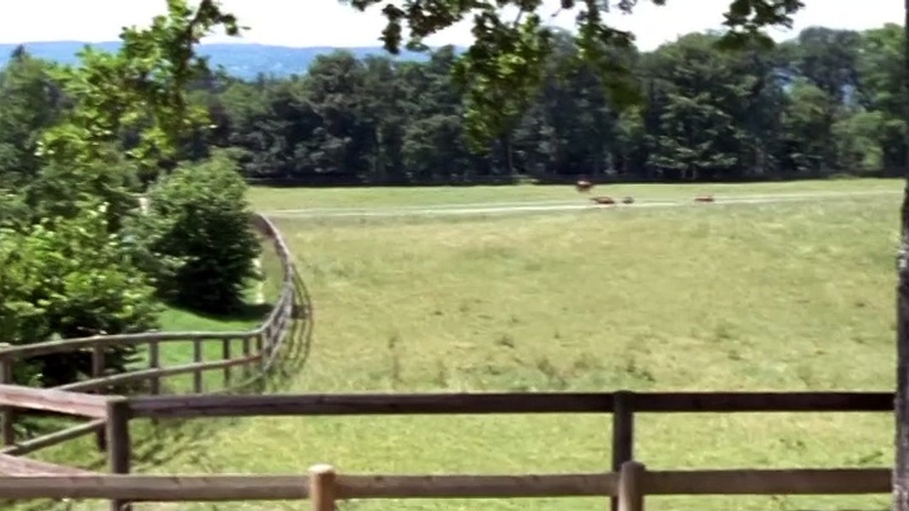 Die Rosenheim-Cops S01E03-Hopfen und Malz