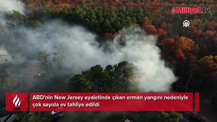 ABD'nin New Jersey eyaletinde orman yangını