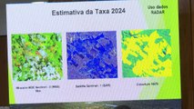 Amazônia Legal registra menor área desmatada em nove anos
