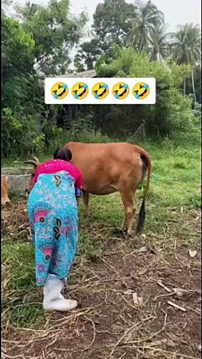very funny video must watch