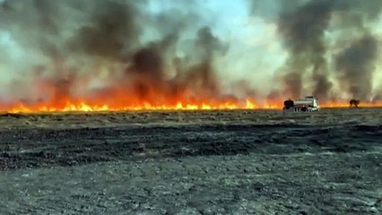 Dirranbandi residents allowed to return home after dangerous bushfire