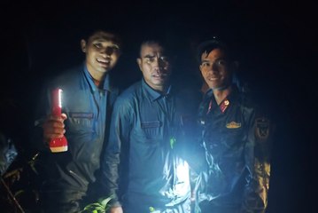 Vụ máy bay Yak-130 rơi ở Bình Định: Đã đưa 2 phi công ra khỏi rừng an toàn