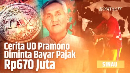 UD Pramono Rekeningnya Diblokir, dan Bayar Pajak Rp670 Juta, Begini Awal Mulanya | SINAU