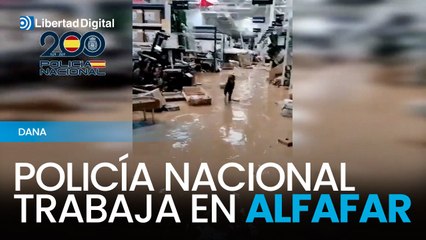 La Unidad Canina de la Policía Nacional se suma a las labores de rescate en Alfafar tras la DANA