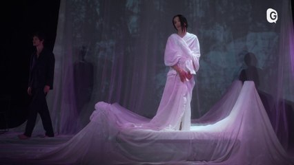 Herculine Barbin au Festival d'Avignon 2024 🎭 : Un récit poignant avec des acteurs étoilés