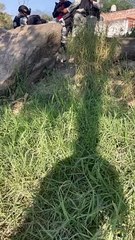 Macabro hallazgo en las vías del ferrocarril en la colonia El Tapatío en San Pedro, Tlaquepaque