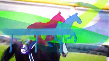 中央競馬ダイジェスト