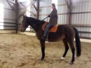 balzac travail jambette, mais gourmand ......