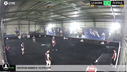 Faute de Andrei B - Fc Stejarii