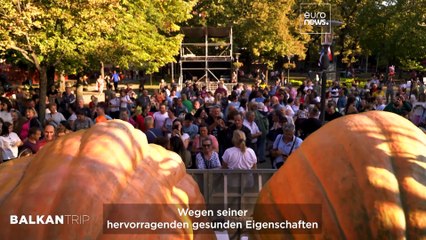 Nordserbien: Kürbisfest in Kikinda, die Schönheit des Palić-Sees und die Synagoge von Subotica