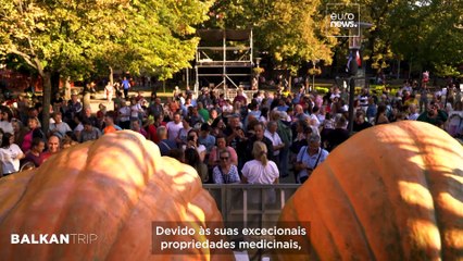 Explorar o norte da Sérvia: abóboras, o lago Palić e o encanto de Subotica
