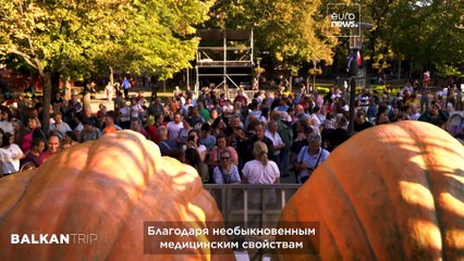 Откройте Северную Сербию: фестиваль тыквы, живописное Паличское озеро и архитектурная жемчужина Суботицы 🌅