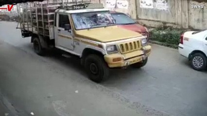 You Have To See This Elephant Charge a Truck on a Very Busy City Street in India