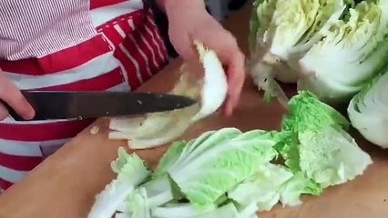 kimchi recipe vegetarian or vegan kimchi