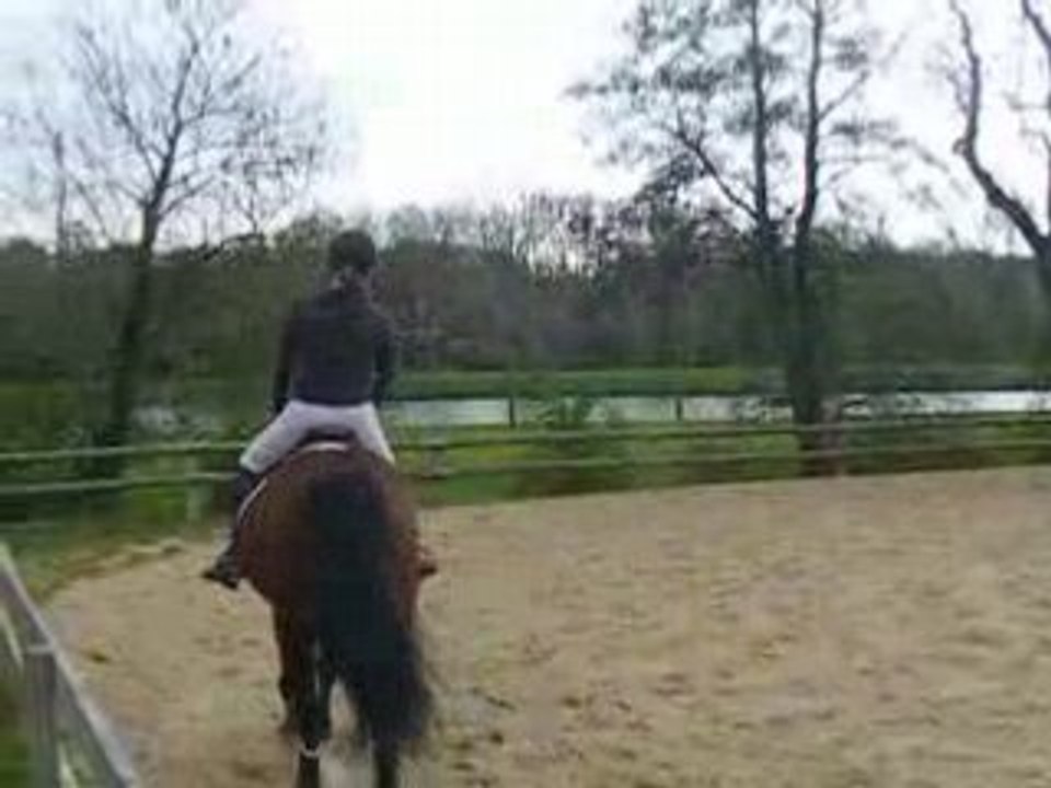 encore poupette sur un pseudo allongement au trot