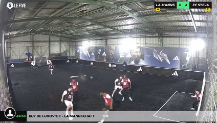 But de Ludovic T - La Mannschaft