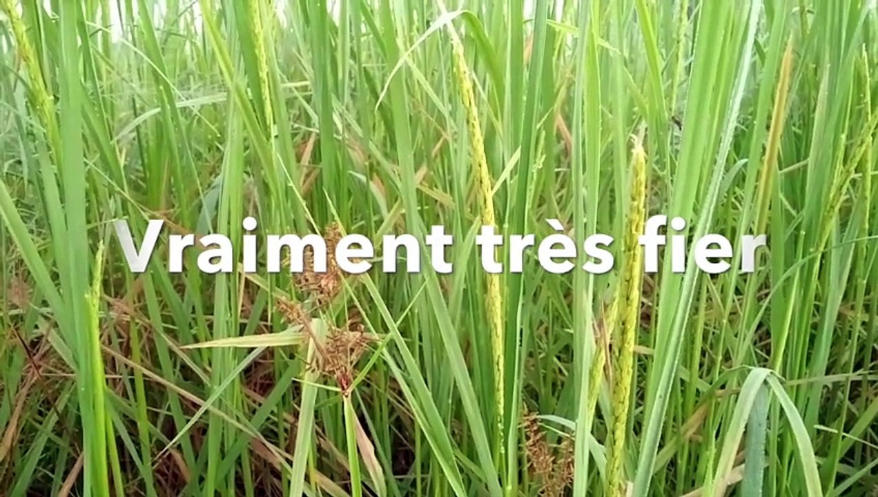 Fin Octobre 2024 copie