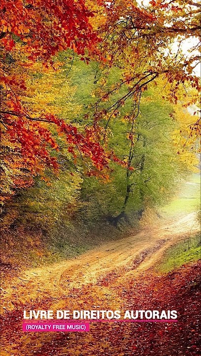 ✅Musica relaxante contra ansiedade- Fragmentos $2