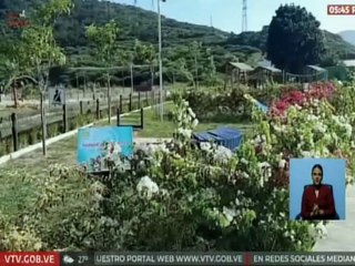 Gobierno Bolivariano realiza trabajos de embellecimientos en Ciudad Caribia