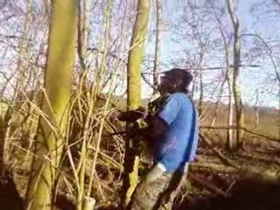 PAINTBALL BOIS 1