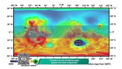 Primeira árvore de Marte pode nascer em local inesperado