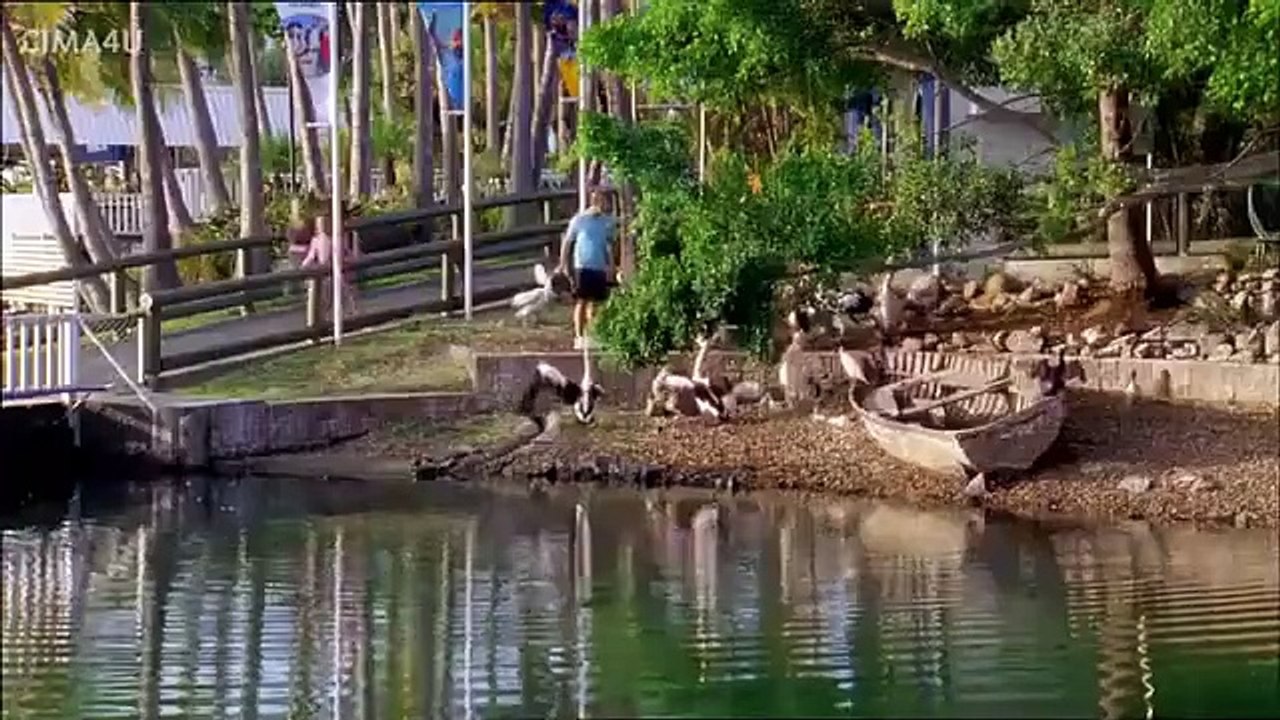 مسلسل تعويذة الماء الموسم 1 الحلقة 19