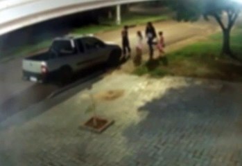 Câmera flagra mulher chutando filhote de gato em Cascavel