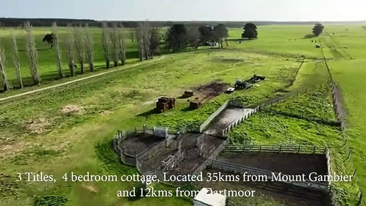 Prized cattle property in the Western District sold at auction