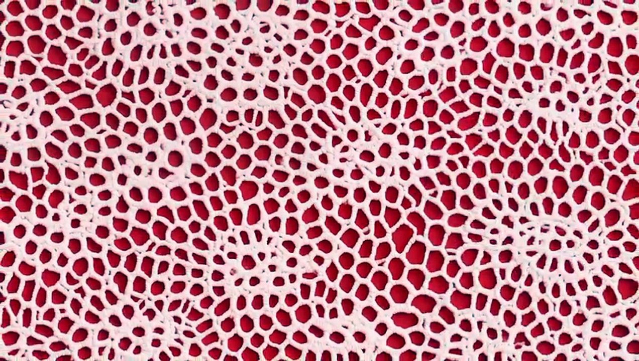 30 Broderie Anglaise Texture Backgrounds