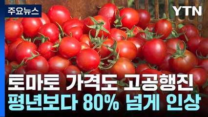 "비싸서 못 먹겠네"...천정부지 오른 방울토마토 / YTN